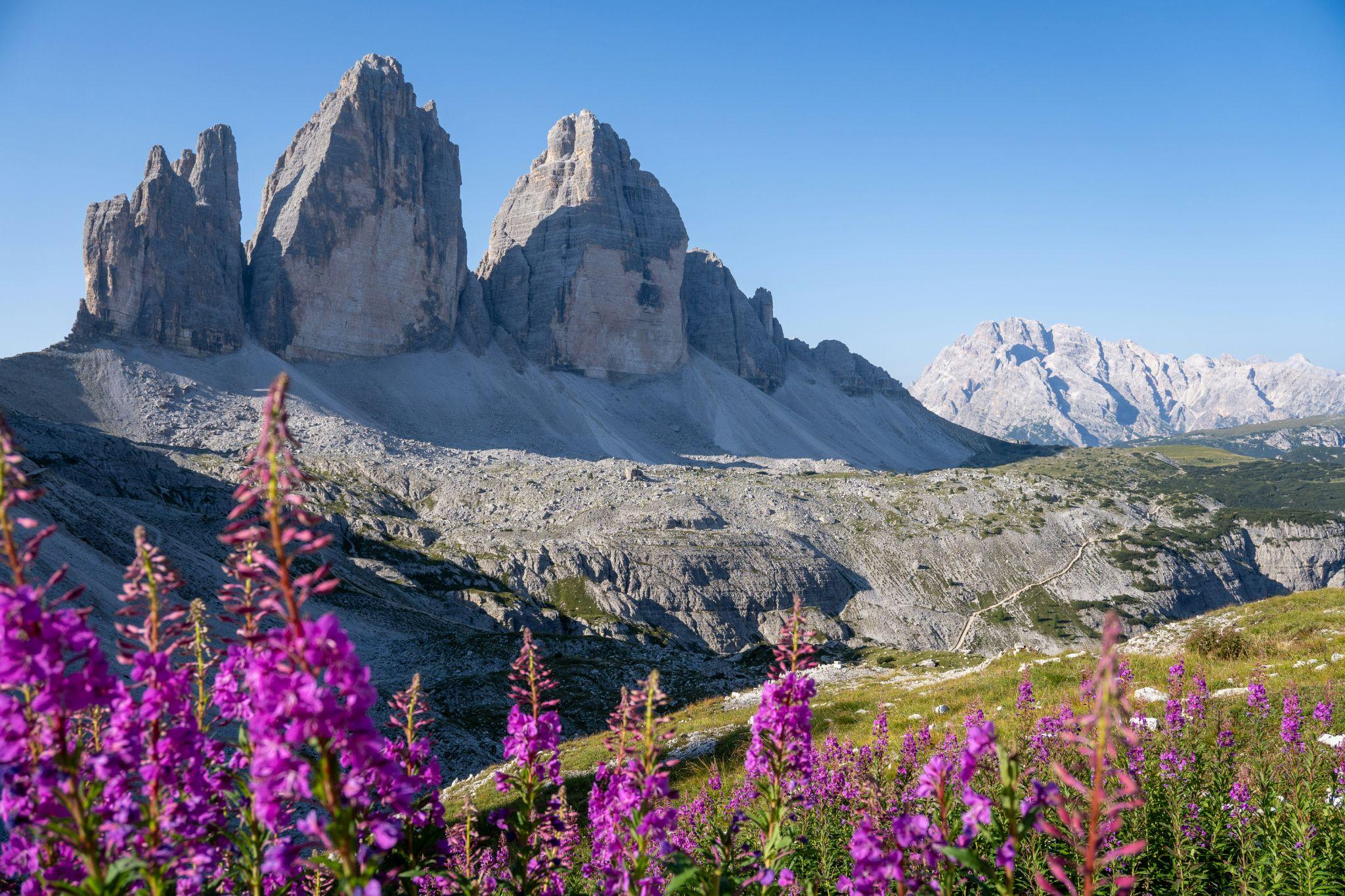 Beyond the Collections — custom Italian itinerary